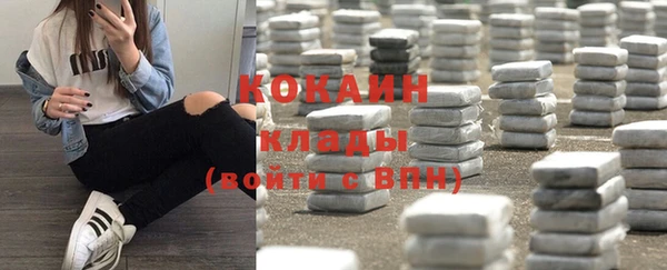 мет Няндома