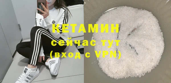 мет Няндома