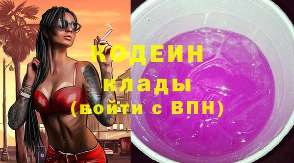 мет Няндома