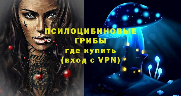 МДПВ Билибино