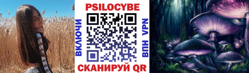 Псилоцибиновые грибы Psilocybe  Чадан 